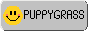 88x31 button for puppygrass
