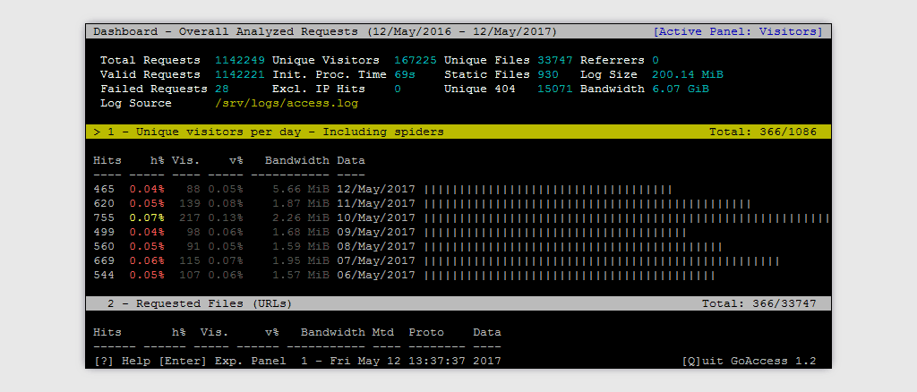 GoAccess Terminal Output